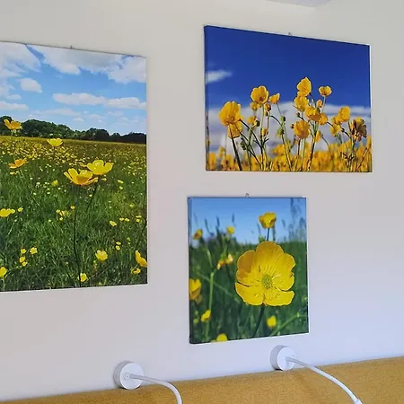 Homestay Arco Delle Apuane By Migliorini *